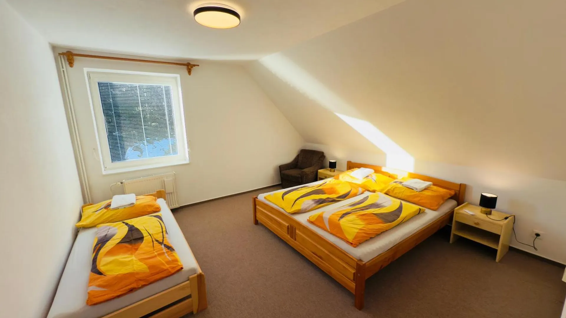 Guest house Pension Tony Spindleruv Mlyn Czech Republic