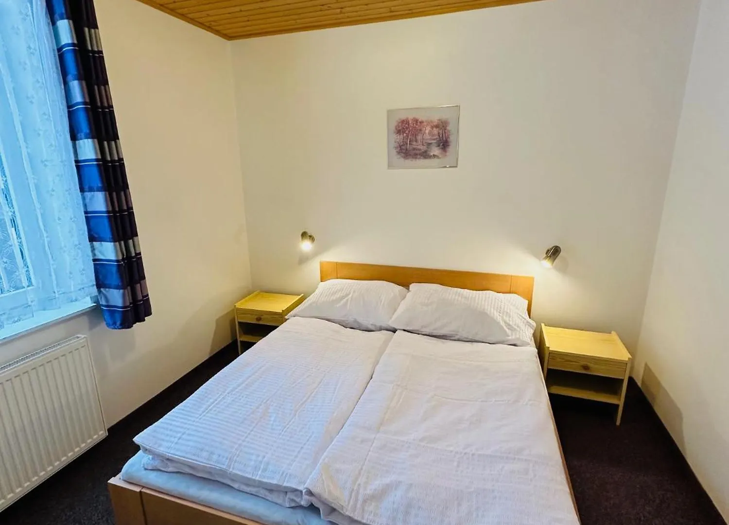 Pension Tony Spindleruv Mlyn 0*,
